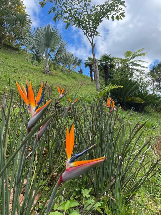 Rancho Do Paioleiro - Suites São Bento do Sapucaí Kültér fotó
